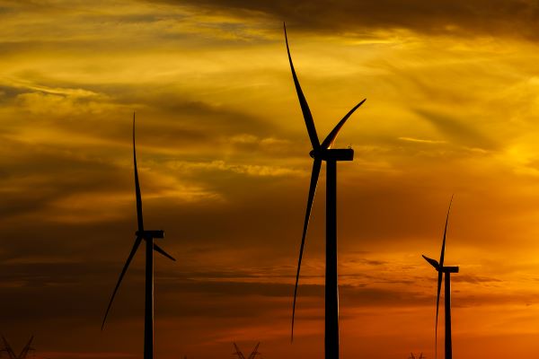 Amazon eleva hasta los 1,4 GW su capacidad renovable en España con cinco nuevos proyectos solares y eólicos