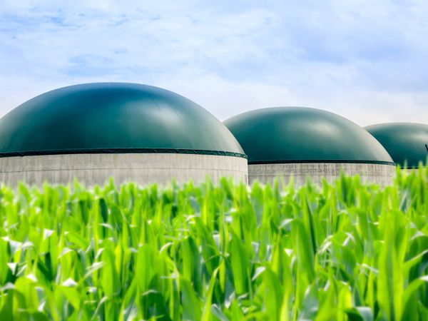 España quiere cuadruplicar su producción de biogás en esta década